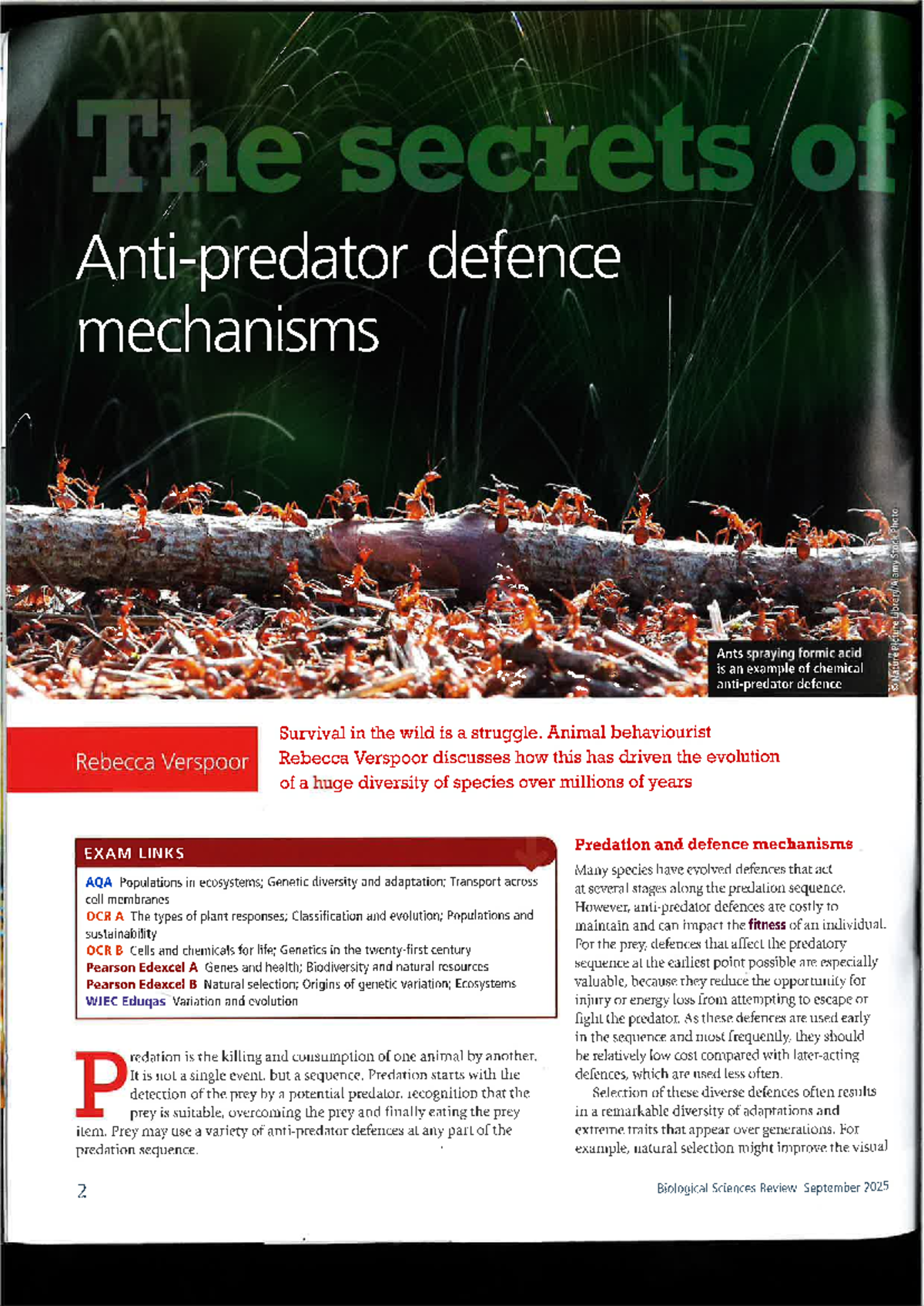 Anti-Predator Defense Mechanisms: Evolutionary Strategies in Nature ...