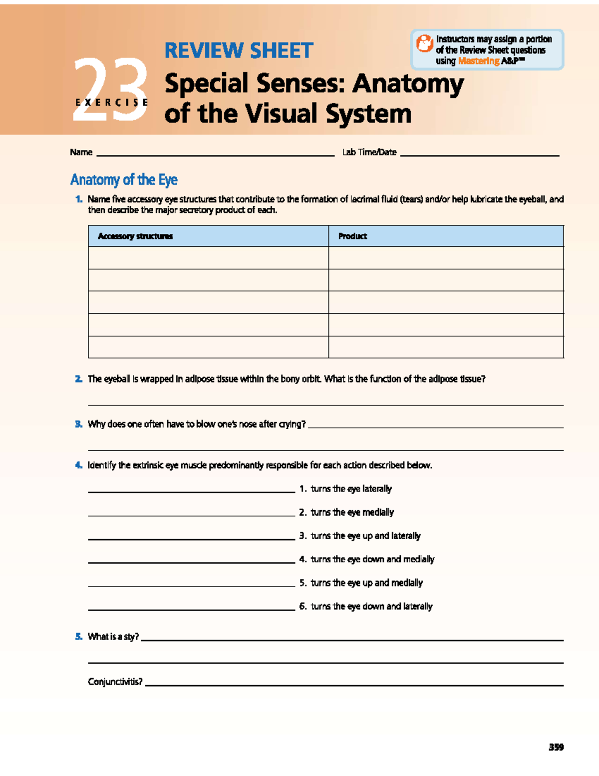 Lab 13 - Review Sheet for Anatomy of the Eye Exercises 23 & 24 - Studocu