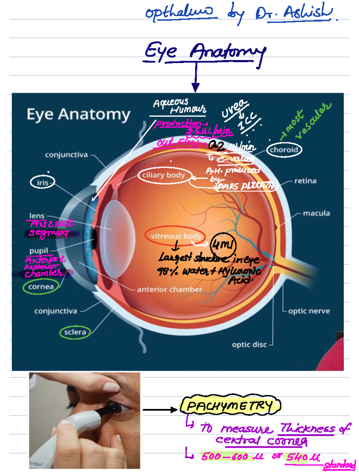 Ophthalmology Revision Notes: Retina and Vision Disorders - Studocu