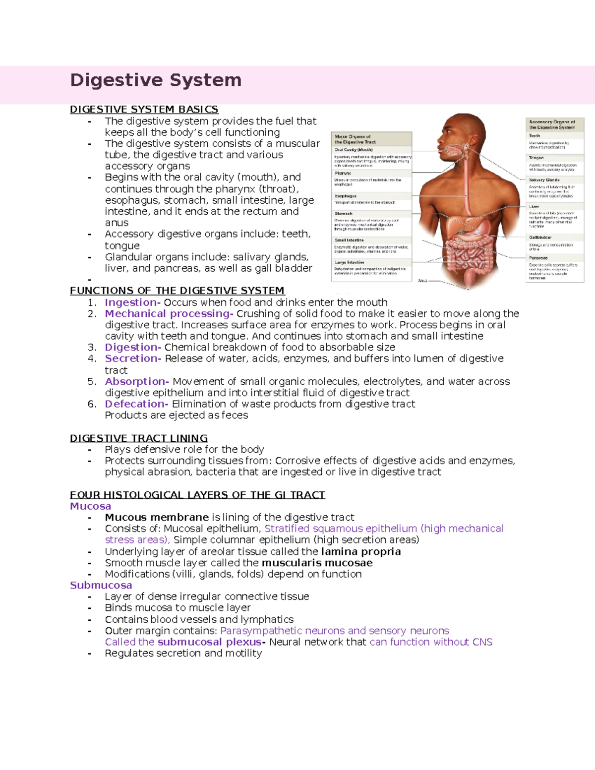 Digestive System - Digestive System DIGESTIVE SYSTEM BASICS The ...