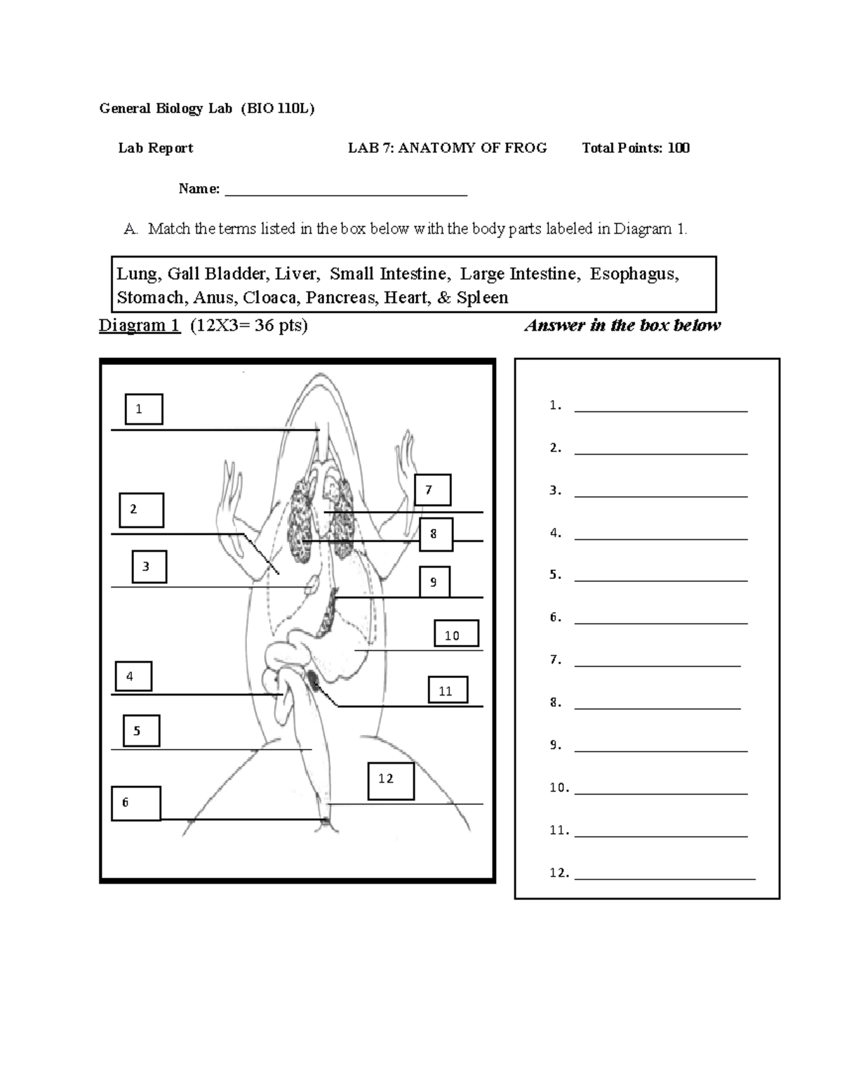 BIO 110L Lab 7 Report - assignment - General Biology Lab (BIO 110L) Lab ...