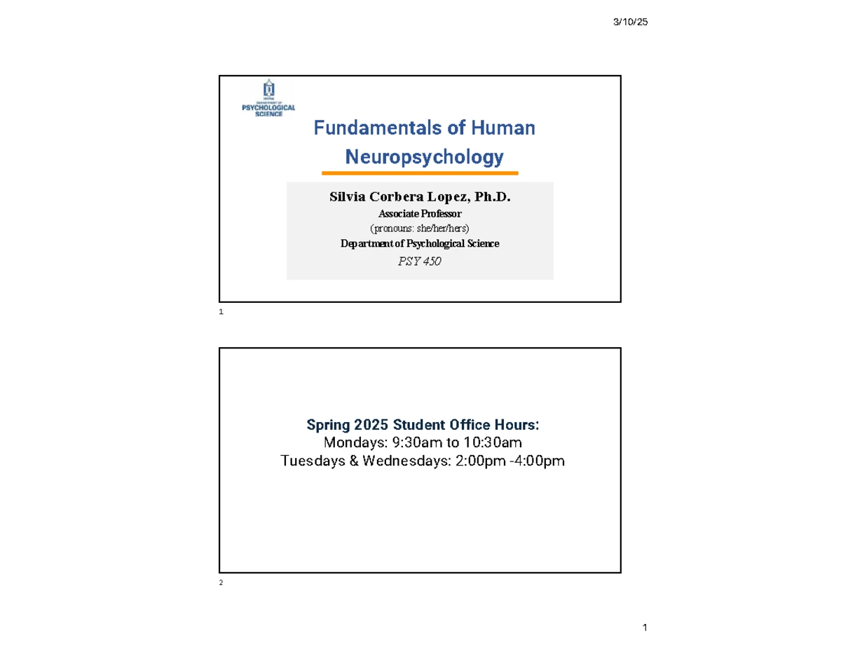 Comprehensive Overview of the Human Motor System Anatomy and Function ...
