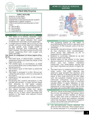 Endocrine System: Comprehensive Study Guide and Key Concepts - Studocu