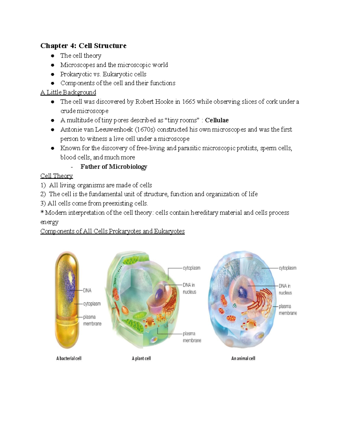 Bio 1 Chap 4 - Cell Structure and Function Lecture Notes - Studocu