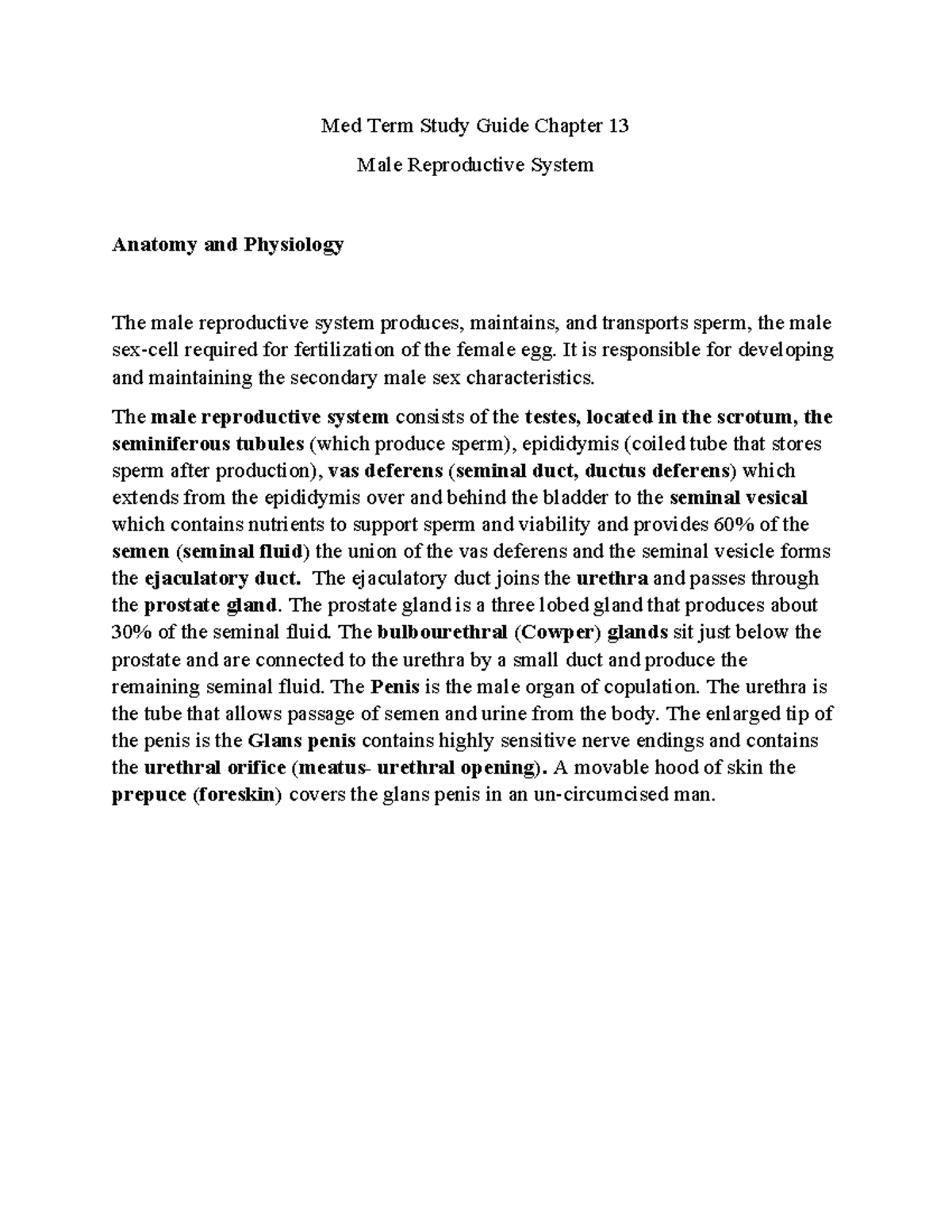 Chapter 13 Med Term Study Guide: Male Reproductive System Anatomy ...