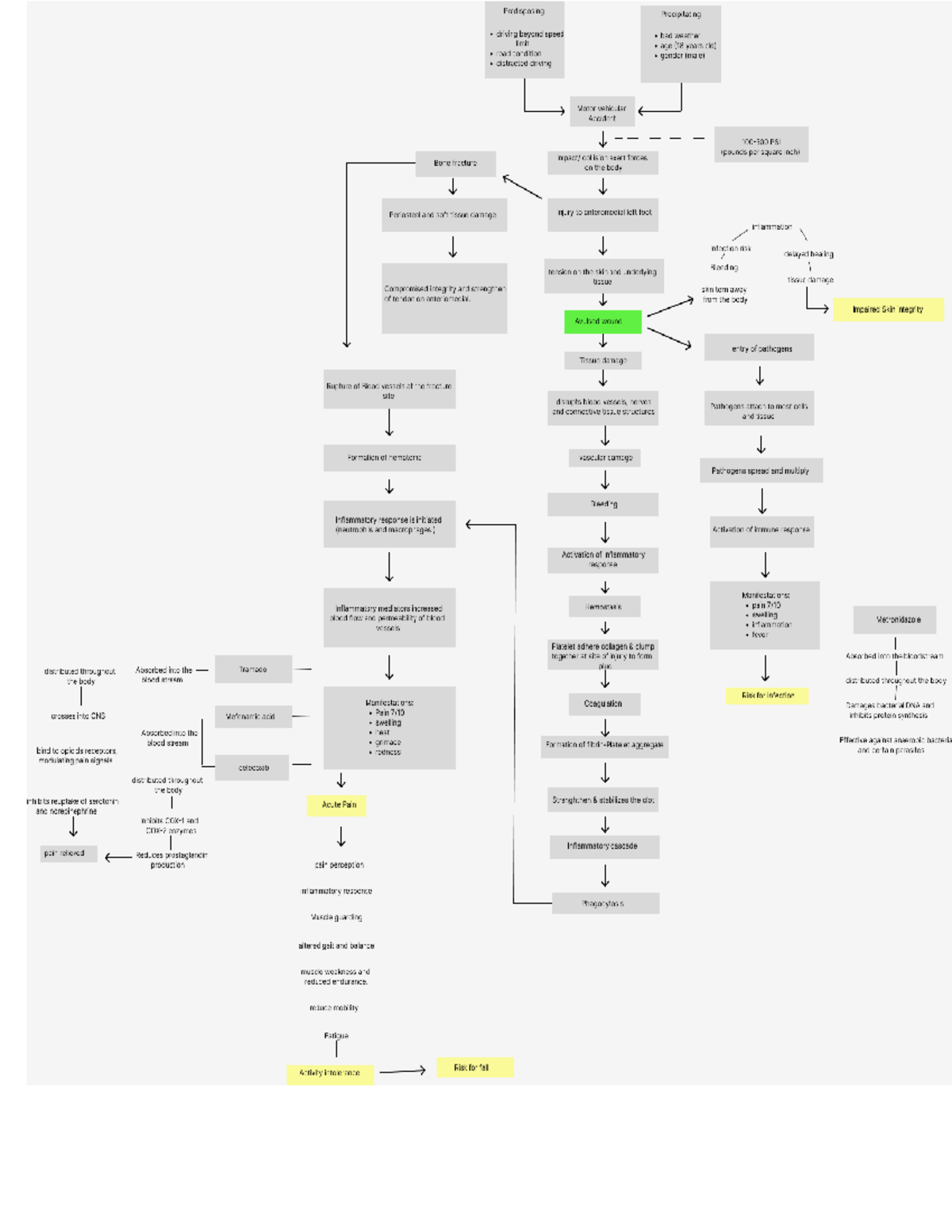 Pathophysiology - sample patho - Predisposing Precipitating driving ...