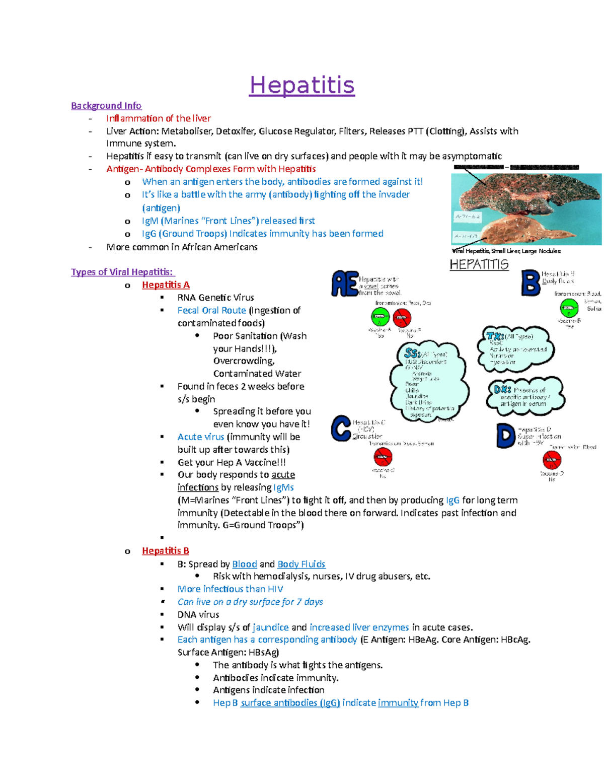 Hepatitis Study Notes - Med-Surg 2 Bridge Program Overview - Studocu