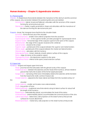 Spinal Cord and Autonomic Nervous System Anatomy Overview (Ch. 16 & 18 ...