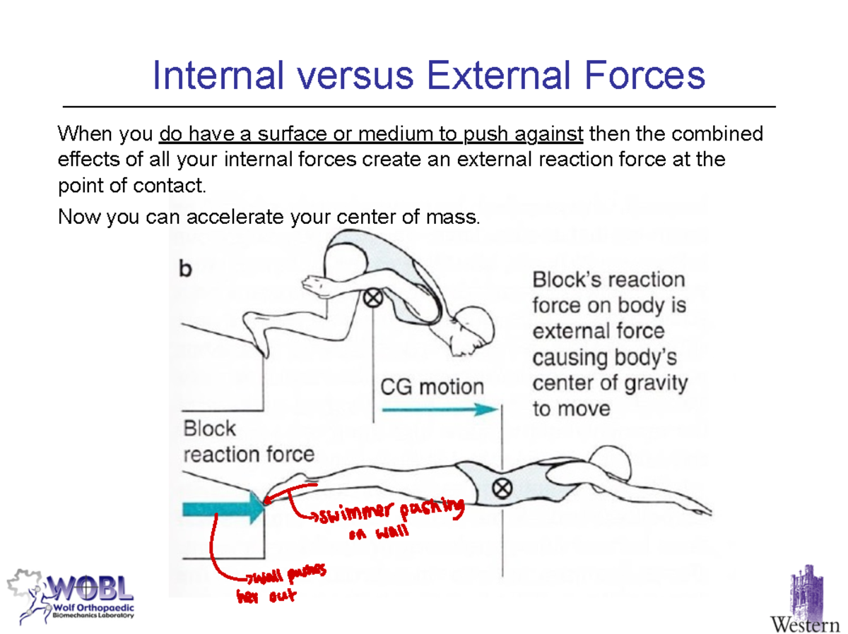 Lecture 9 Forces and Movement 290126 - 2241 - Internal versus External ...