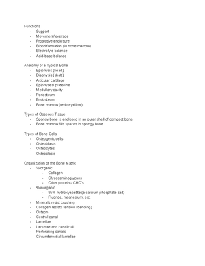 Chapter 6: Overview of the Integumentary System Functions and ...