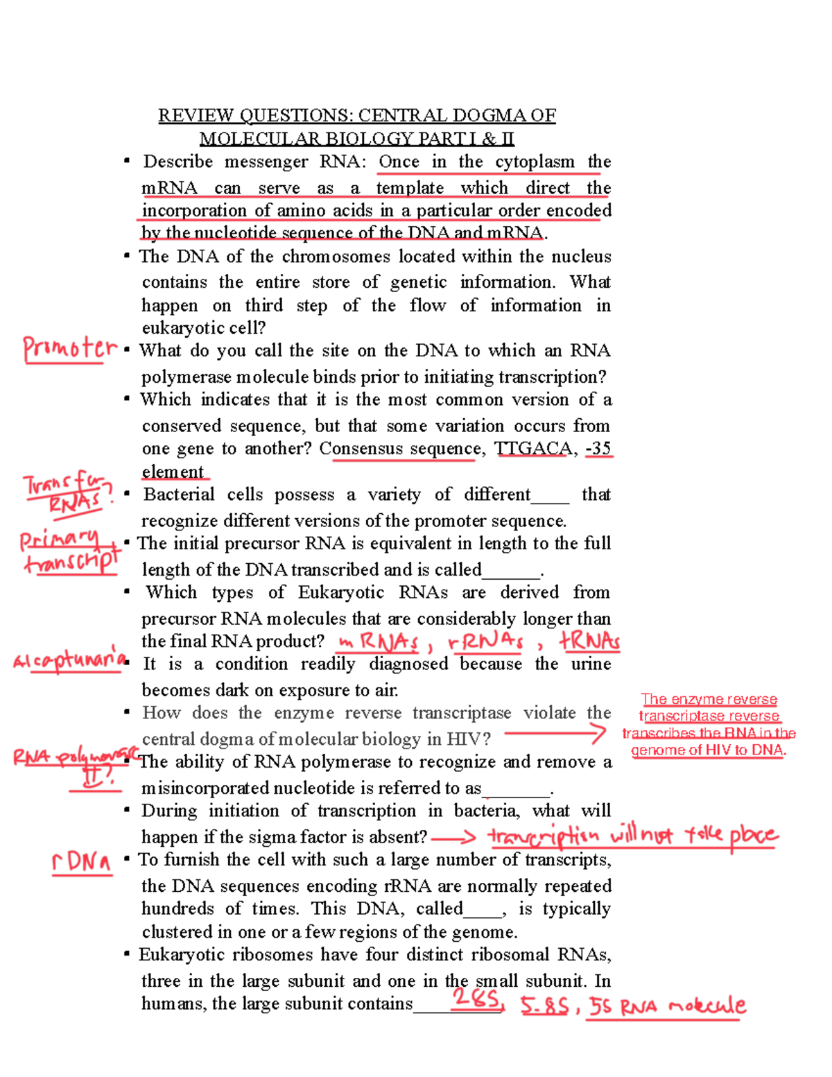7 - Lecture Notes No. 1 pdf file format exercise - REVIEW QUESTIONS ...