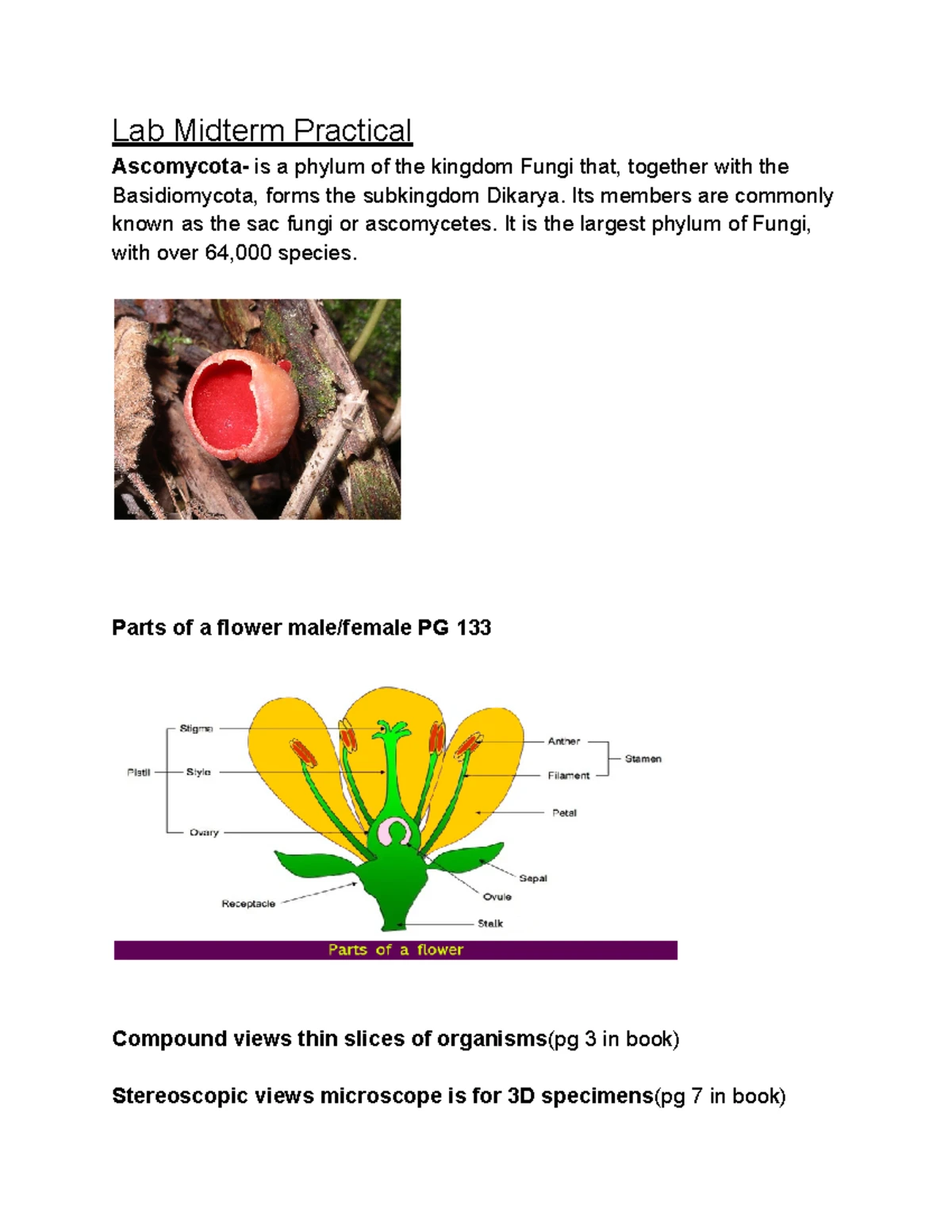 LL - Week 9 - Lower Invertebrates Follow Along Sheet - Kingdom Animalia ...