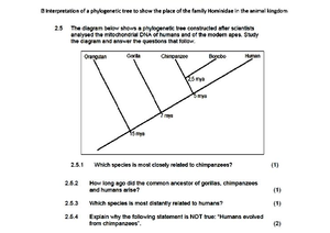 [Solved] Tariff systems worked example with explanations and questions ...