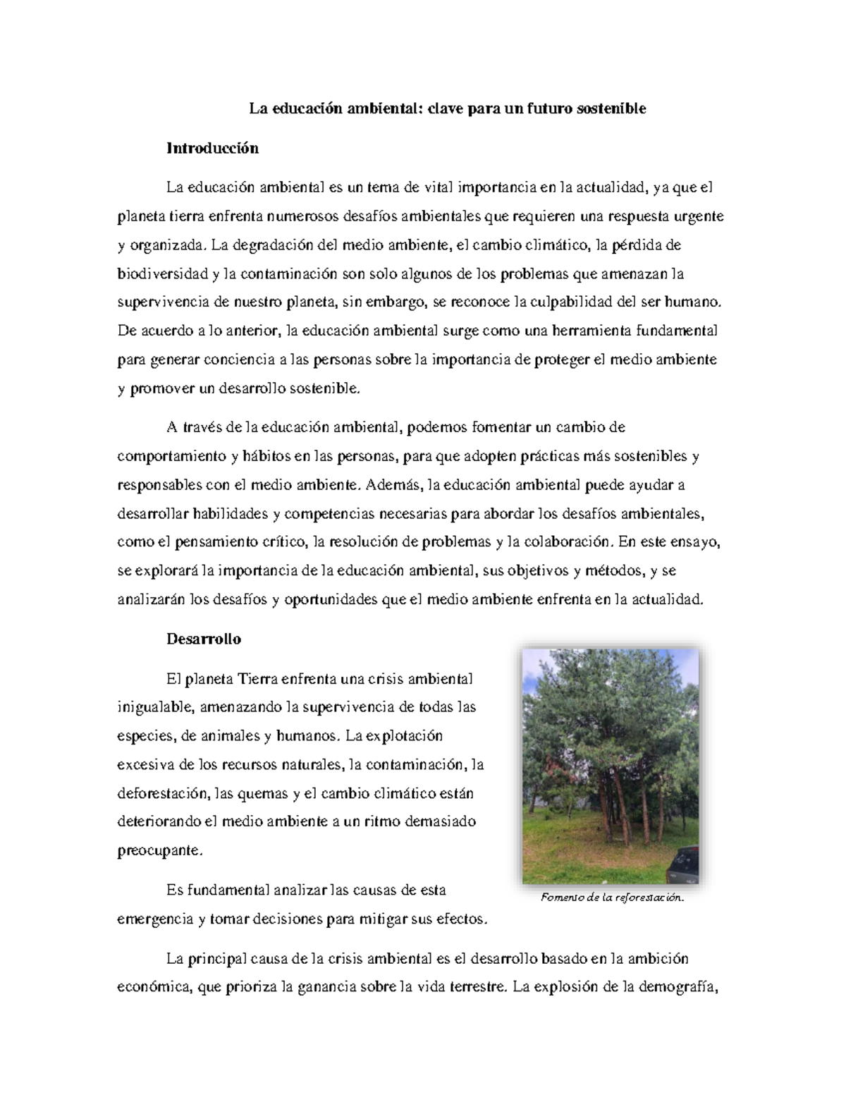 Ensayo sobre Educación Ambiental: Clave para un Futuro Sostenible - Studocu