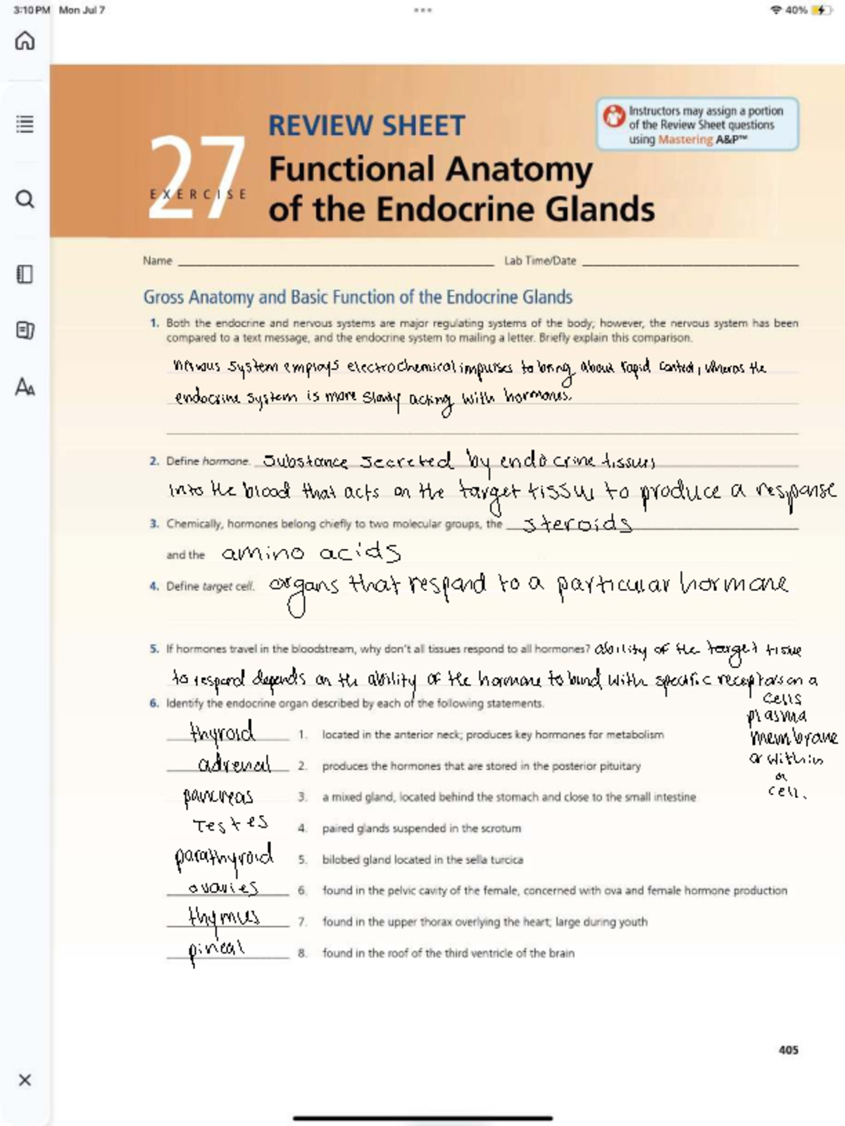 Endocrine System Overview: Exercise 27 Insights on Hormonal Control ...