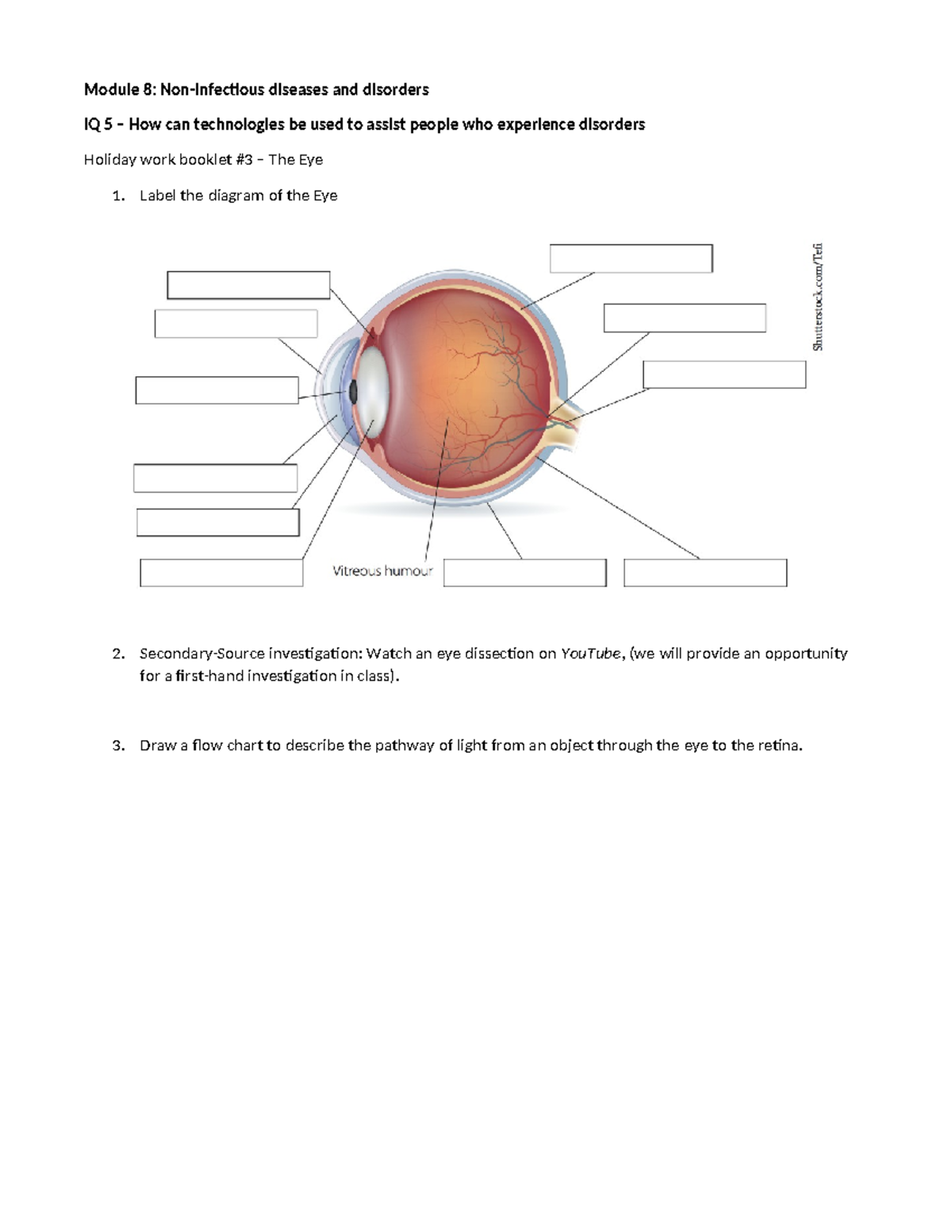 Module 8 IQ 5: The Eye - Technologies and Disorders Overview - Studocu