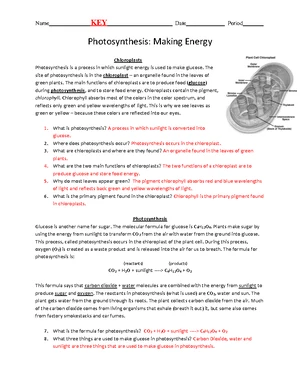 Photosynthesis-worksheet-key - Photosynthesis: Making Energy ...