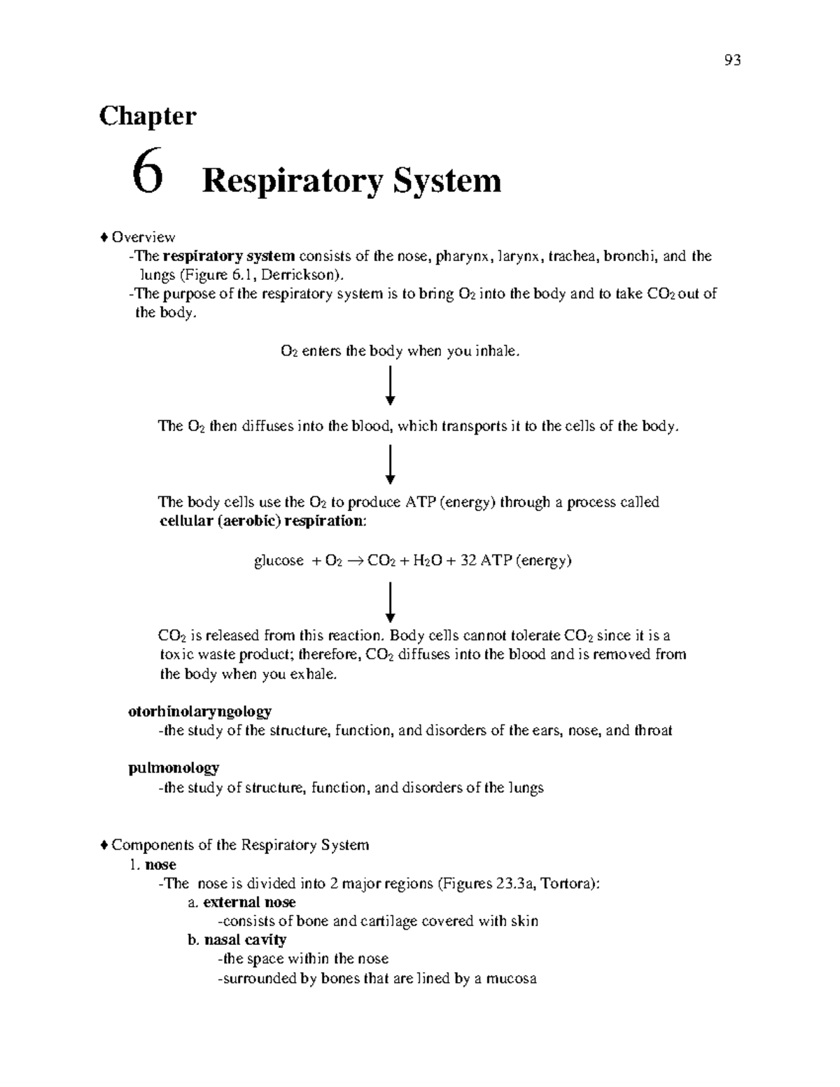 Ch 6: Detailed Overview of the Respiratory System Components - Studocu
