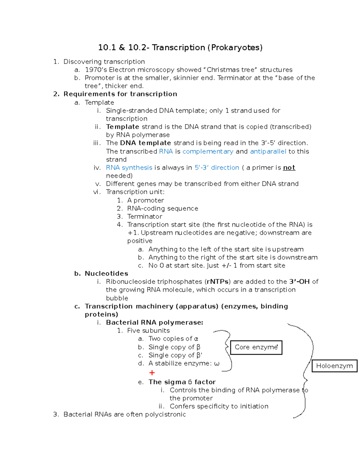 Transcription Mechanisms in Prokaryotes and Eukaryotes (BIO101) - 10 ...
