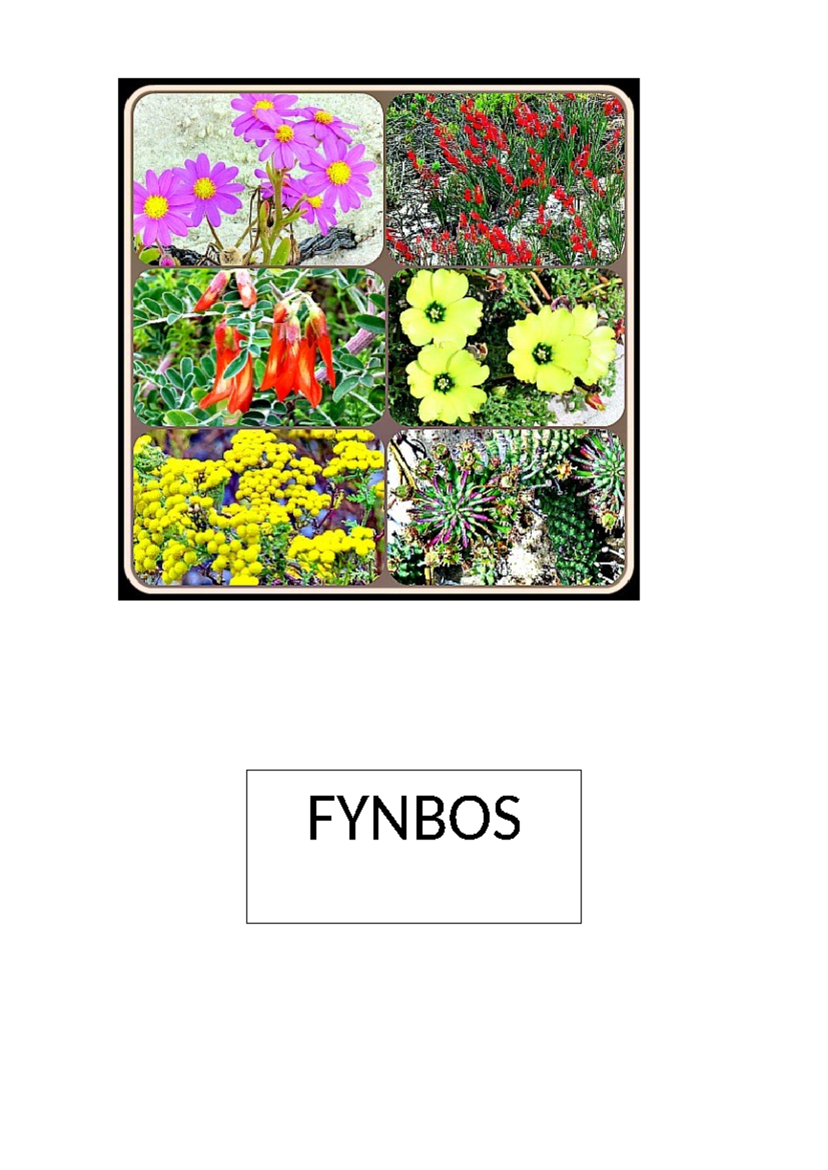 FYNBOS: Biodiversity, Threats, and Conservation Strategies - Botany 101 ...