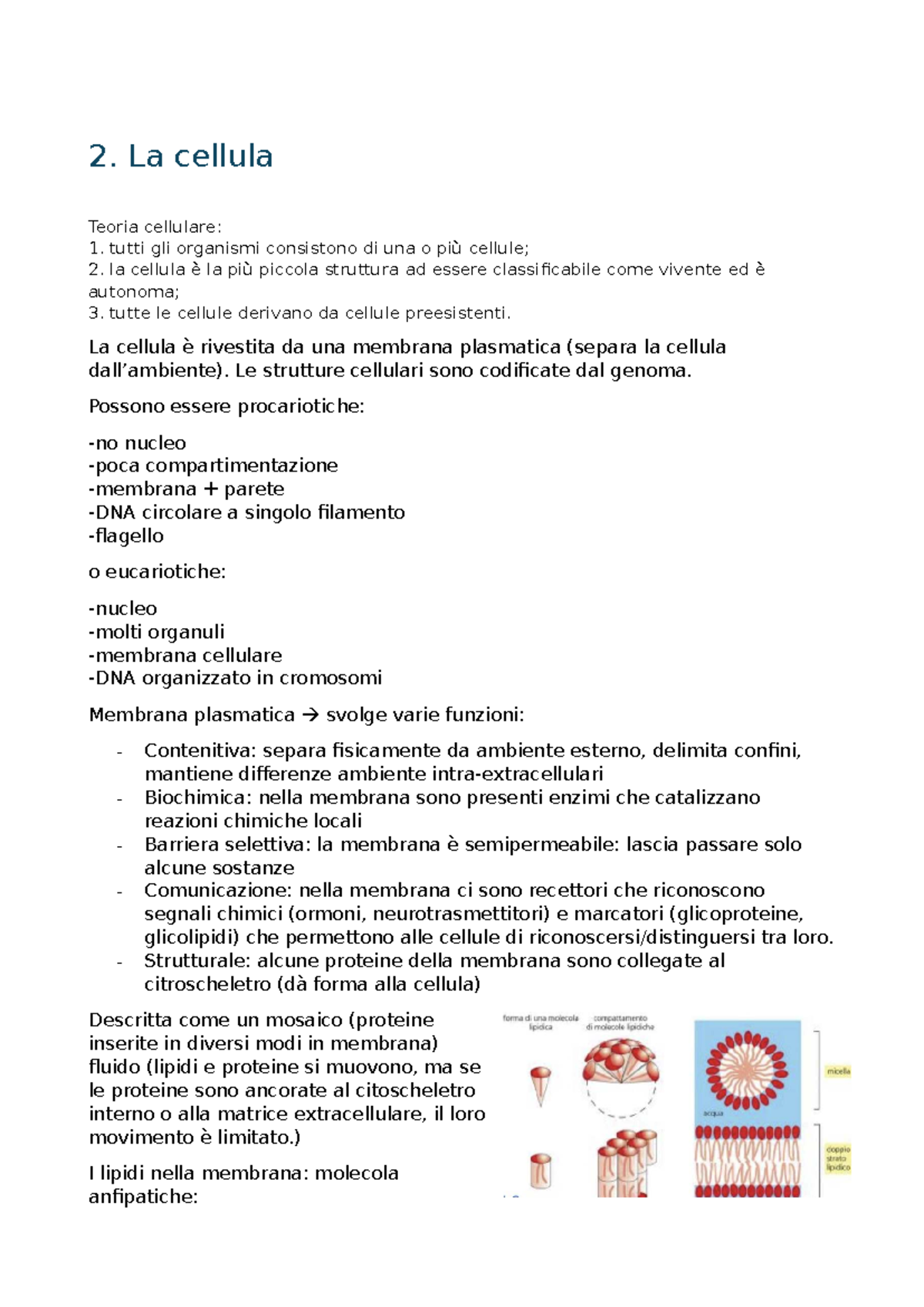 Teoria Cellulare: Struttura e Funzioni della Cellula (BIOL 101) - Studocu