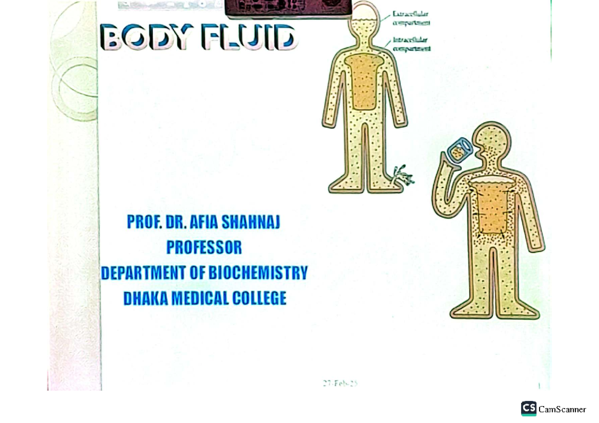 CS Body Fluid Overview: Total Body Water & Compartments - Studocu