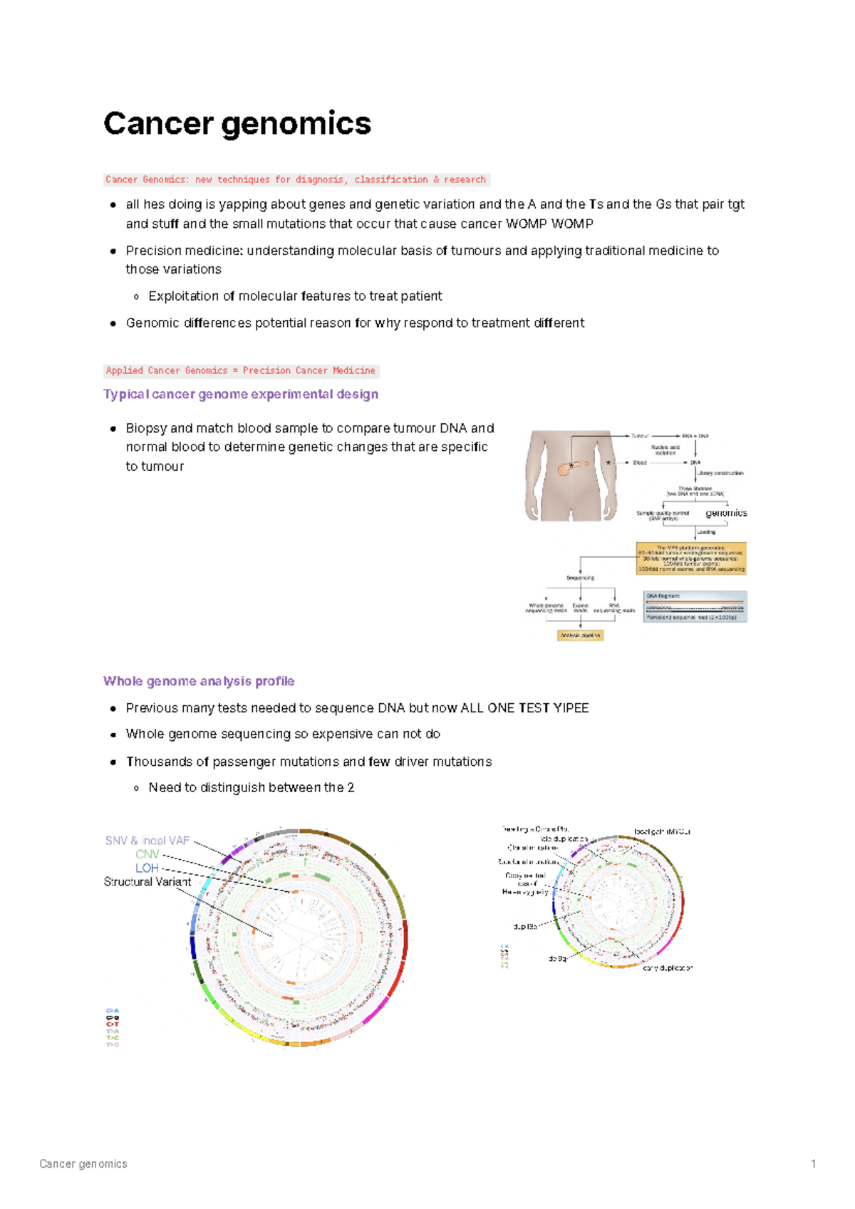 Cancer genomics - Studocu