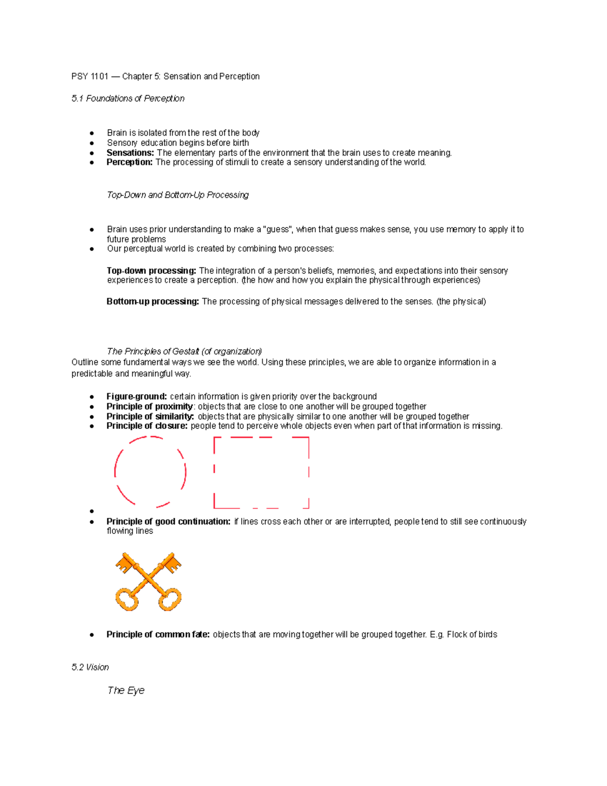 D. PSY 1101 Chapter 5 Overview: Sensation and Perception Principles ...