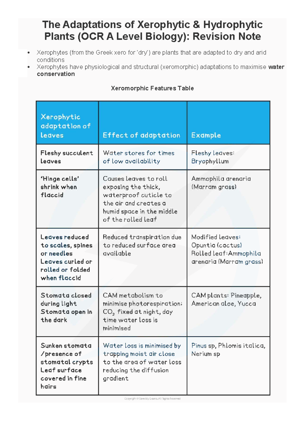 Xerophytic Adaptations in OCR A Level Biology: Revision Notes - Studocu