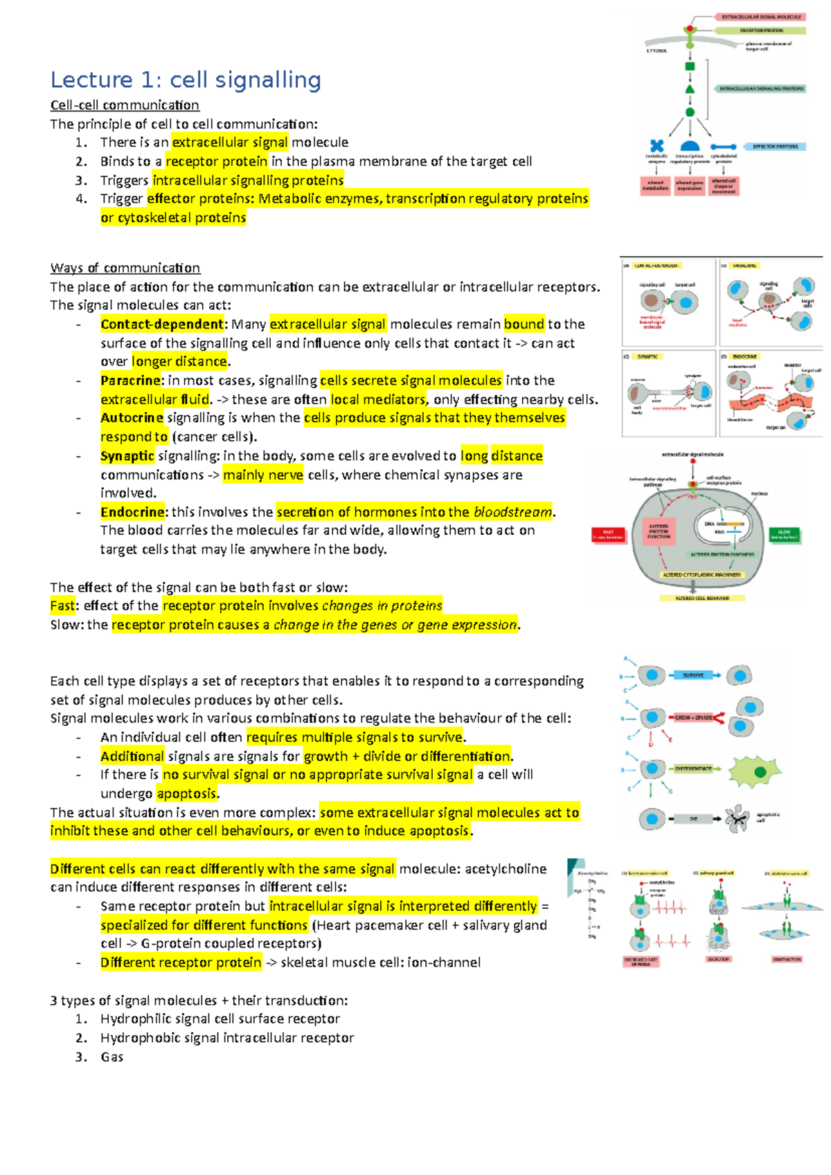 Lecture Notes on Cell Signalling and Cytoskeleton (BIO101) - Studeersnel