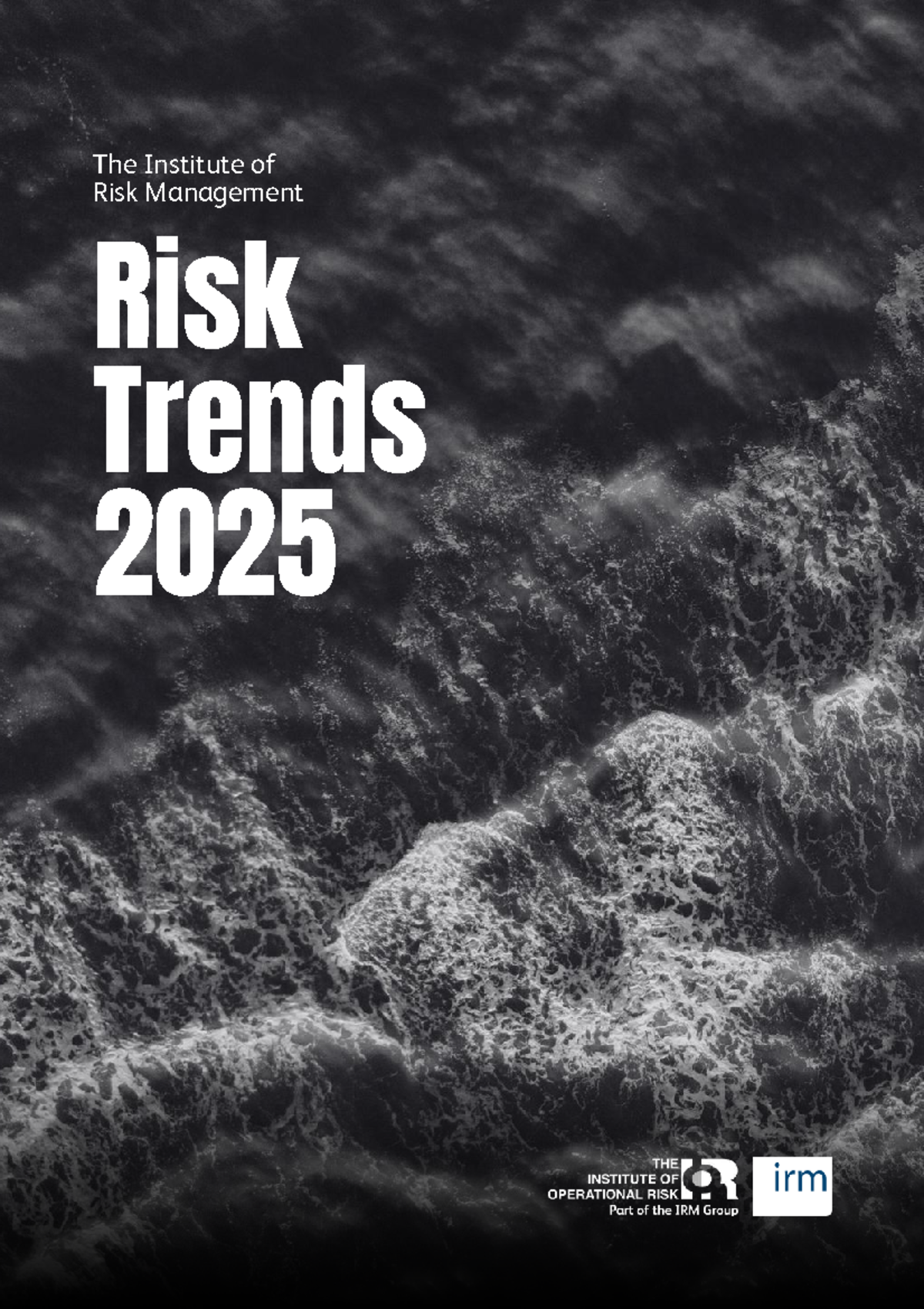 IRM Risk Trends 2025: Navigating Emerging Challenges and Opportunities ...
