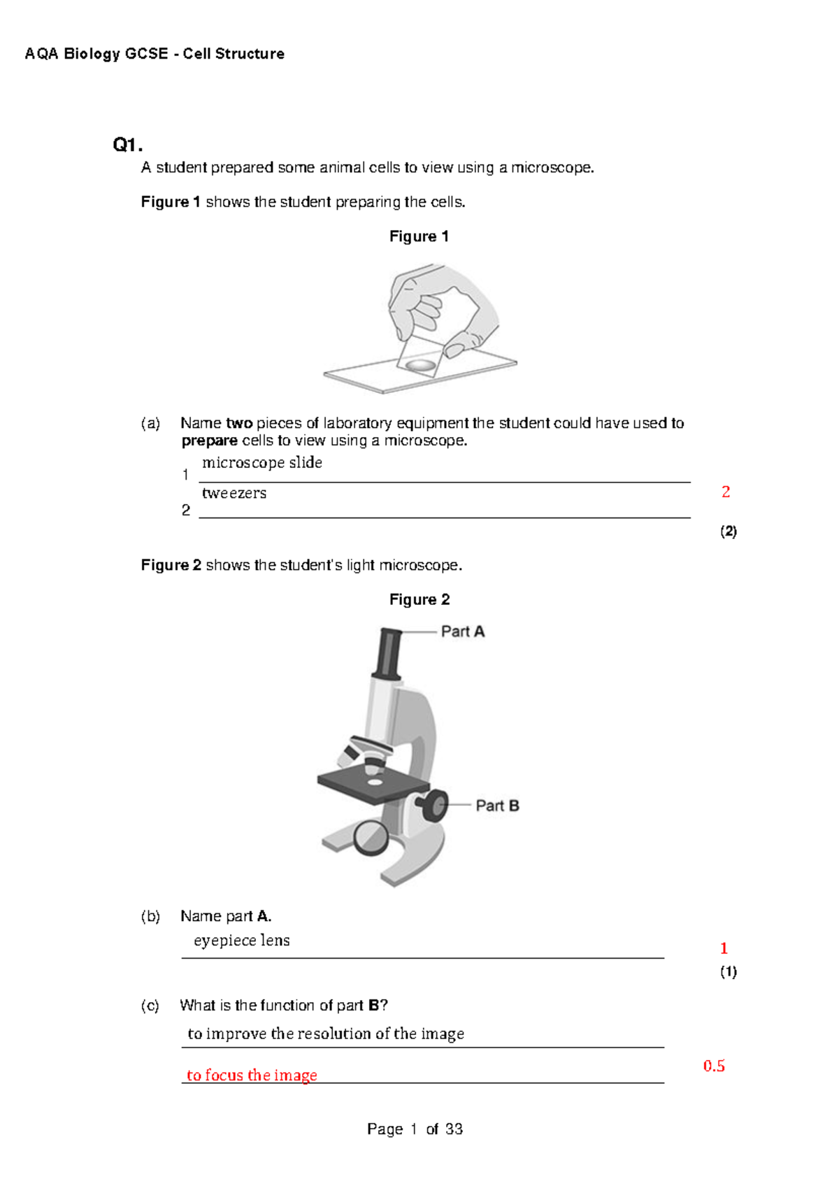 AQA Biology GCSE Cell Structure Notes - Studocu