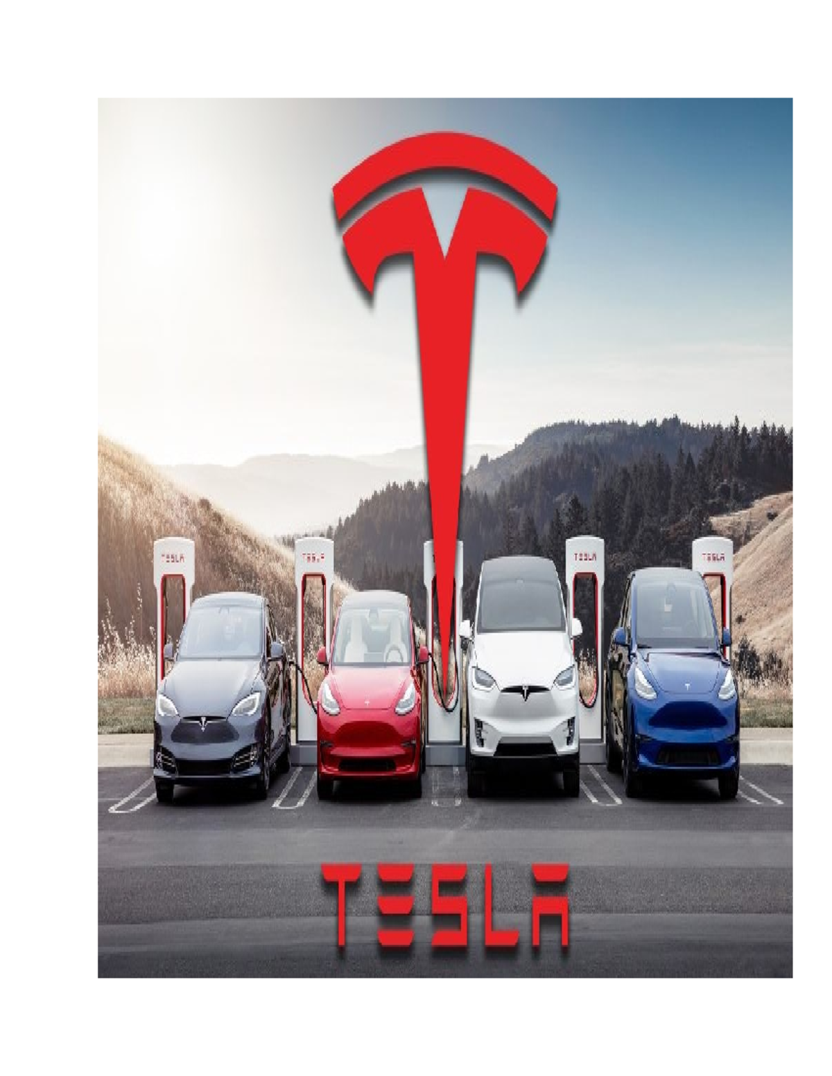 Group 6 Tesla USA - PART 1 : INTRODUCTION Have you ever wondered what ...
