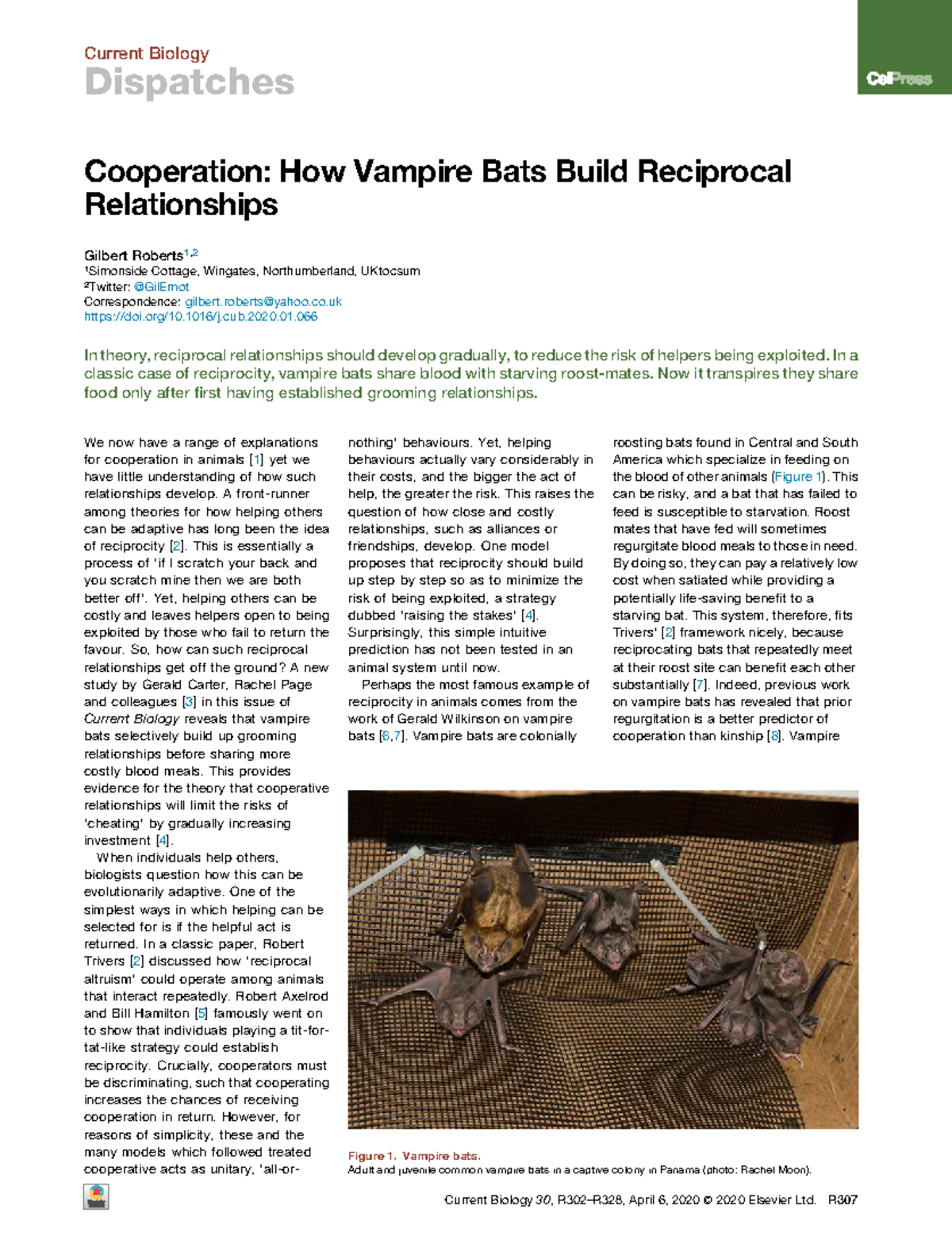 Cooperation in Vampire Bats: Developing Reciprocal Relationships ...
