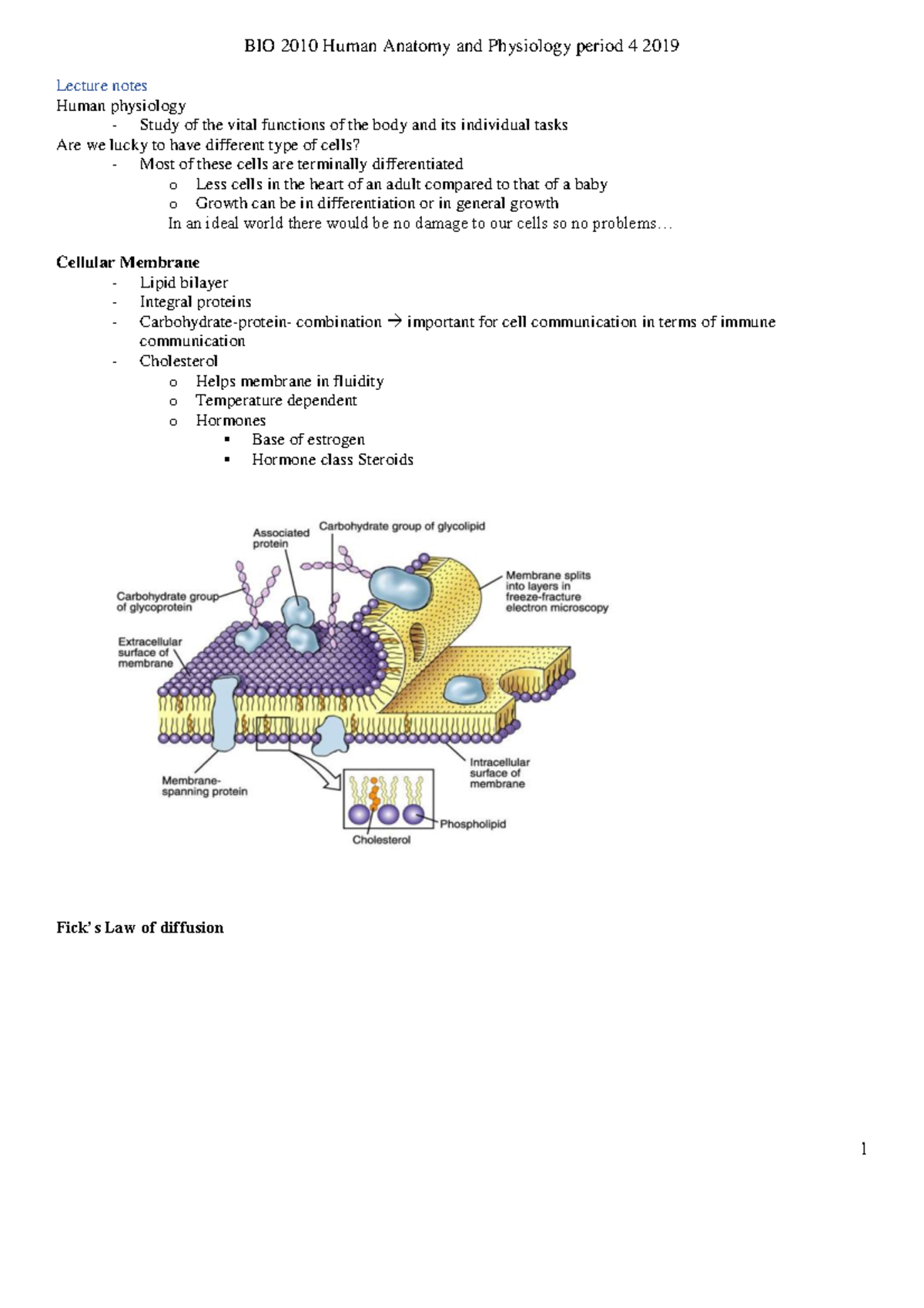 Human Anatomy and Physiology Lecture Notes Summary - PDF Color 2 ...