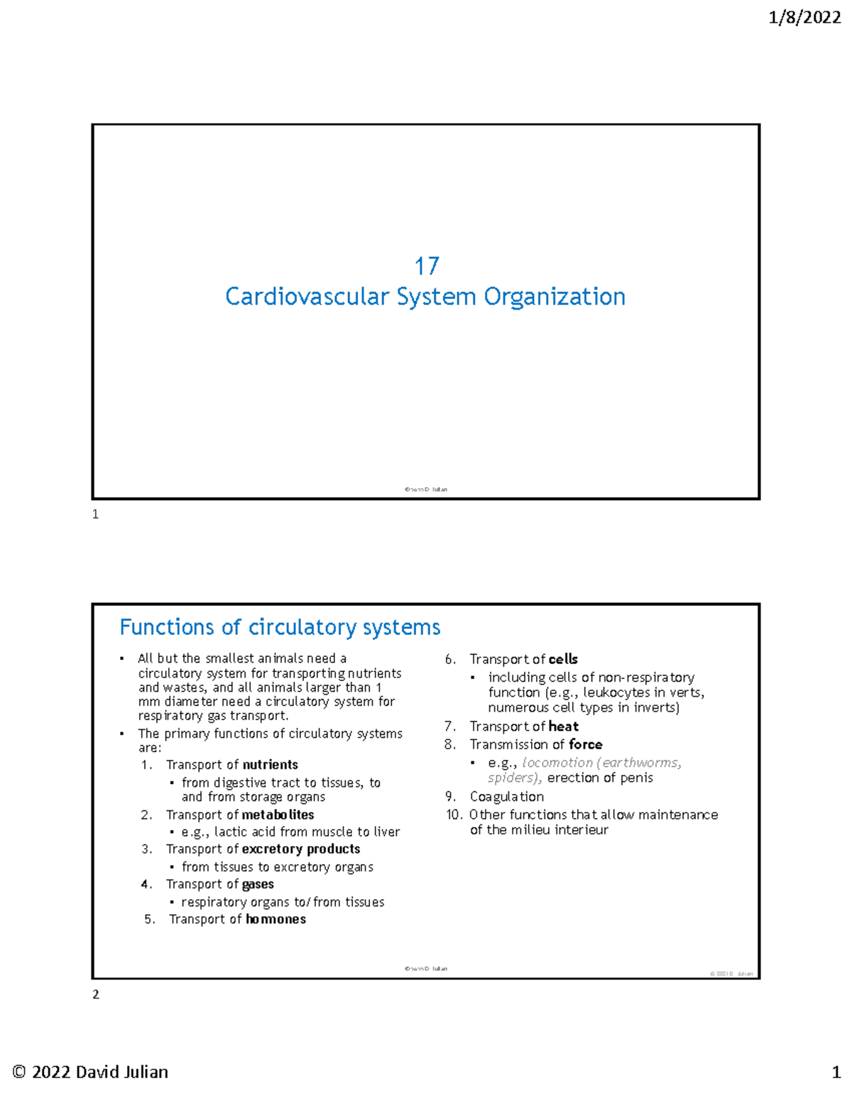 Cardiovascular System Org. Overview - BIO 101 Lecture Notes - Studocu
