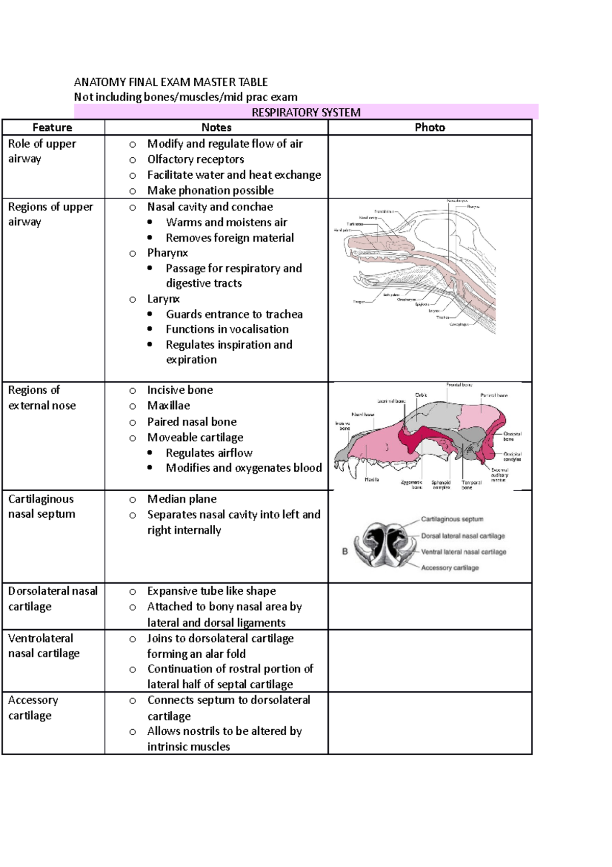 Anatomy ANAT 101 Final Exam Comprehensive Review Table - Studocu