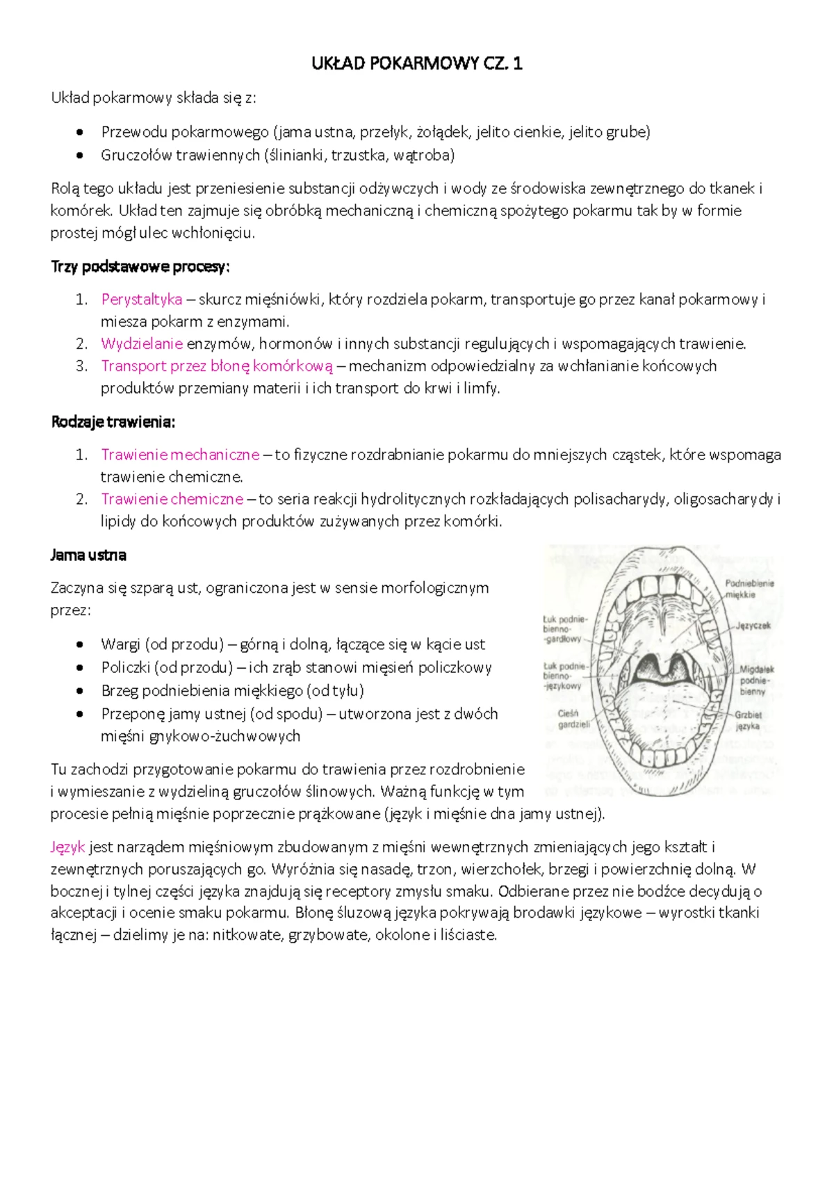Budowa czaszki - anatomia - BUDOWA CZASZKI, POLACZENIA Rusztowanie