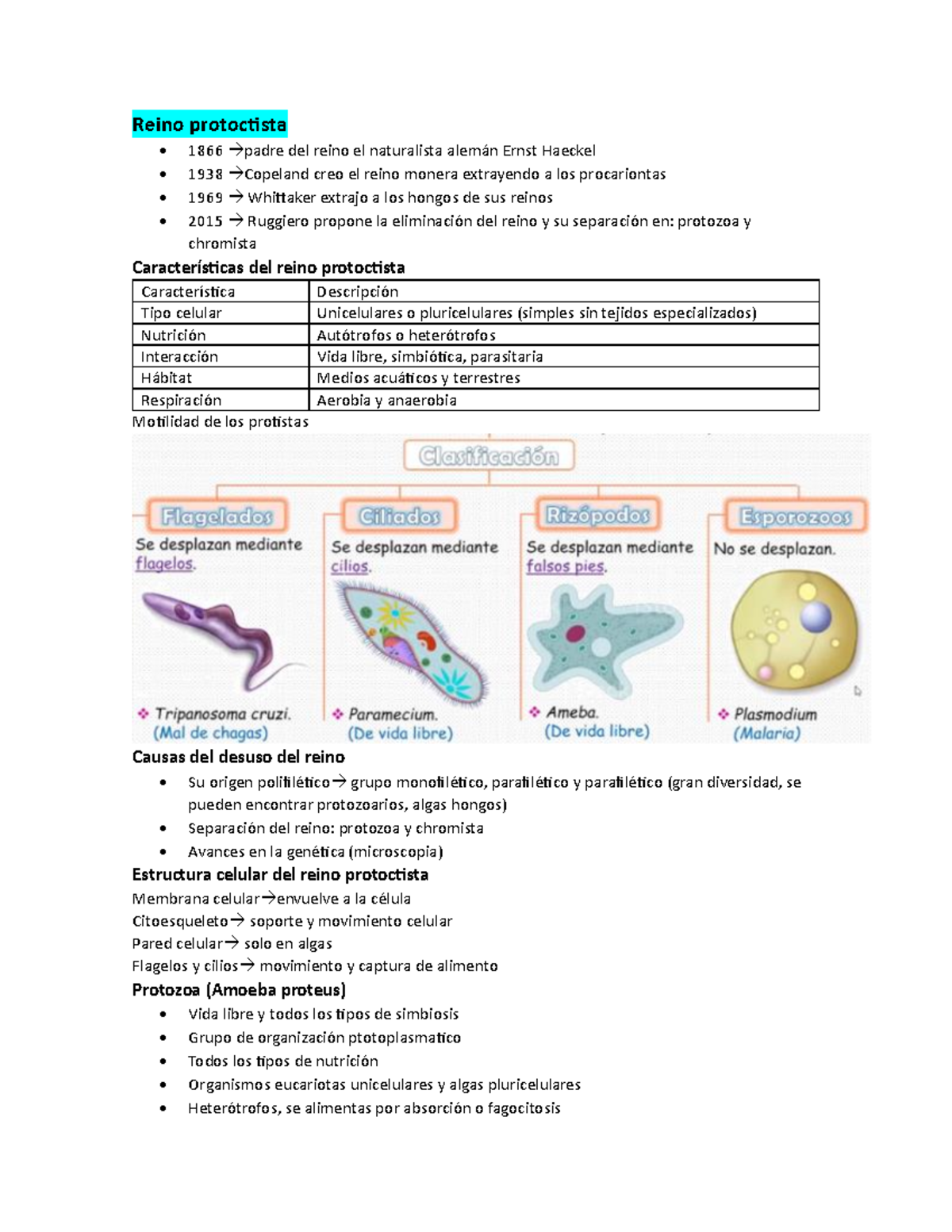 Apuntes sobre el Reino Monera: Características y Metabolismo - Studocu