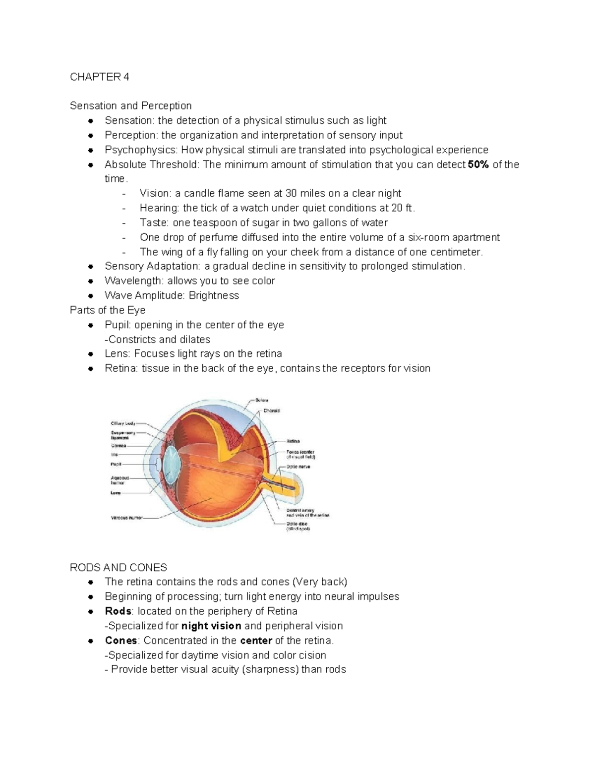 Psychology 1410 - CHAPTER 4 Sensation and Perception Sensation: the ...