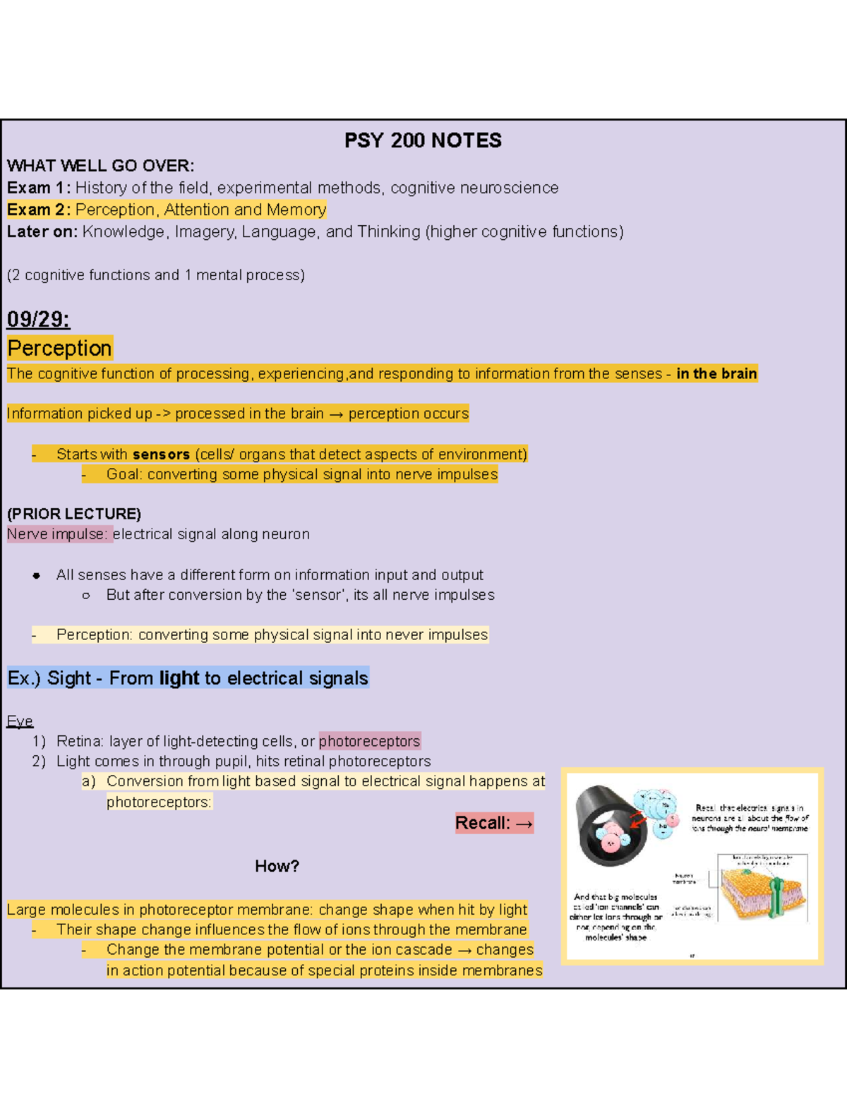PSY 200 Lecture Notes: Memory, Perception, and Attention Concepts - Studocu