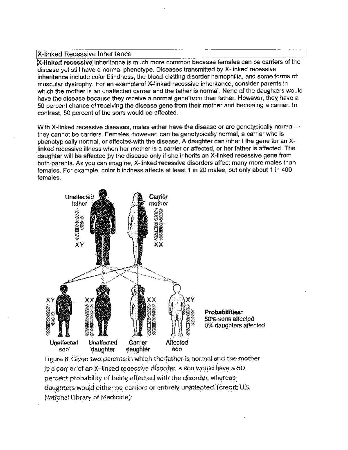 Chromosomal inheritance patterns - Recessive Inheritance recessive ...