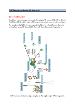 Field Development Project 11 – Wells and Facilities Design - Field ...