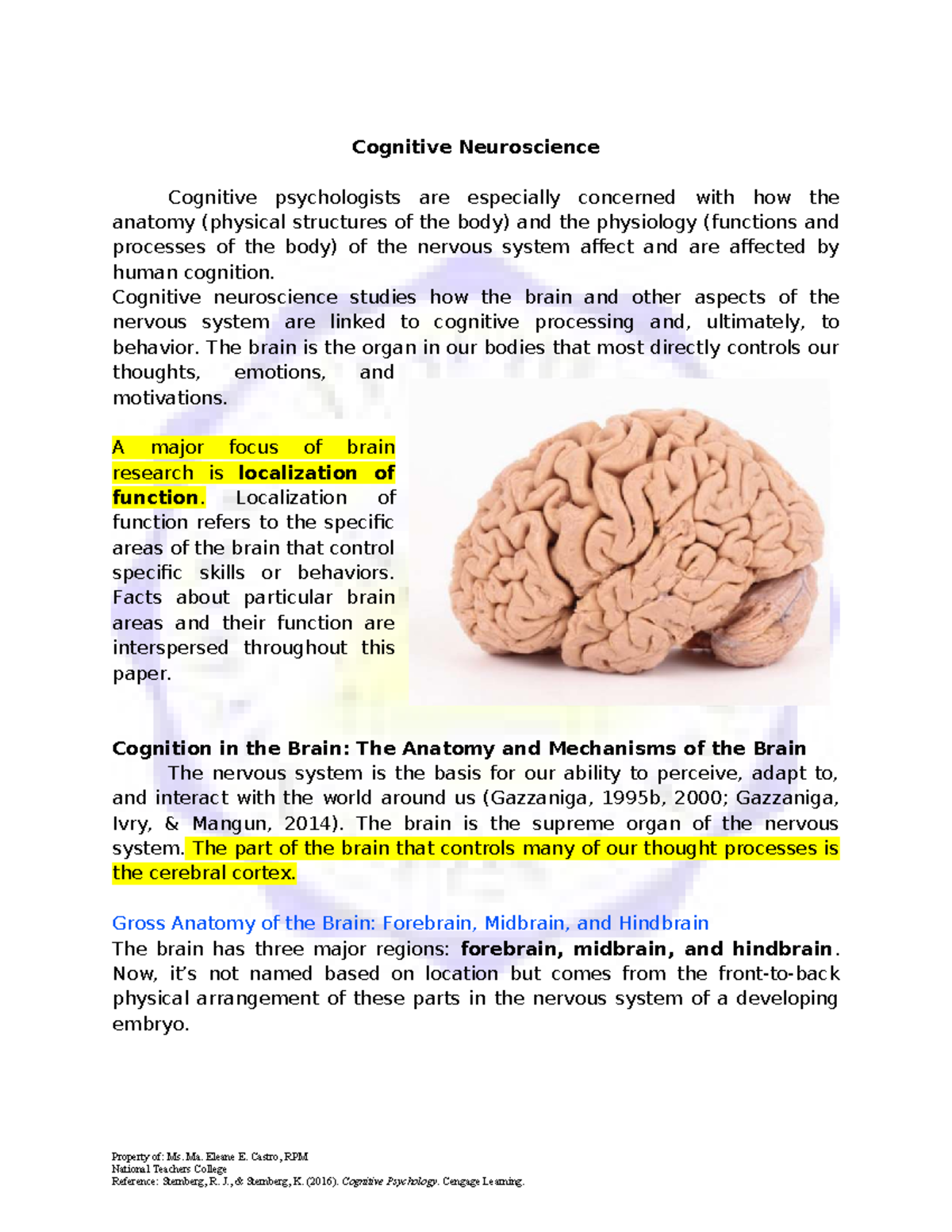 Cognitive Neuroscience: Anatomy, Function, and Brain Mechanisms - Studocu