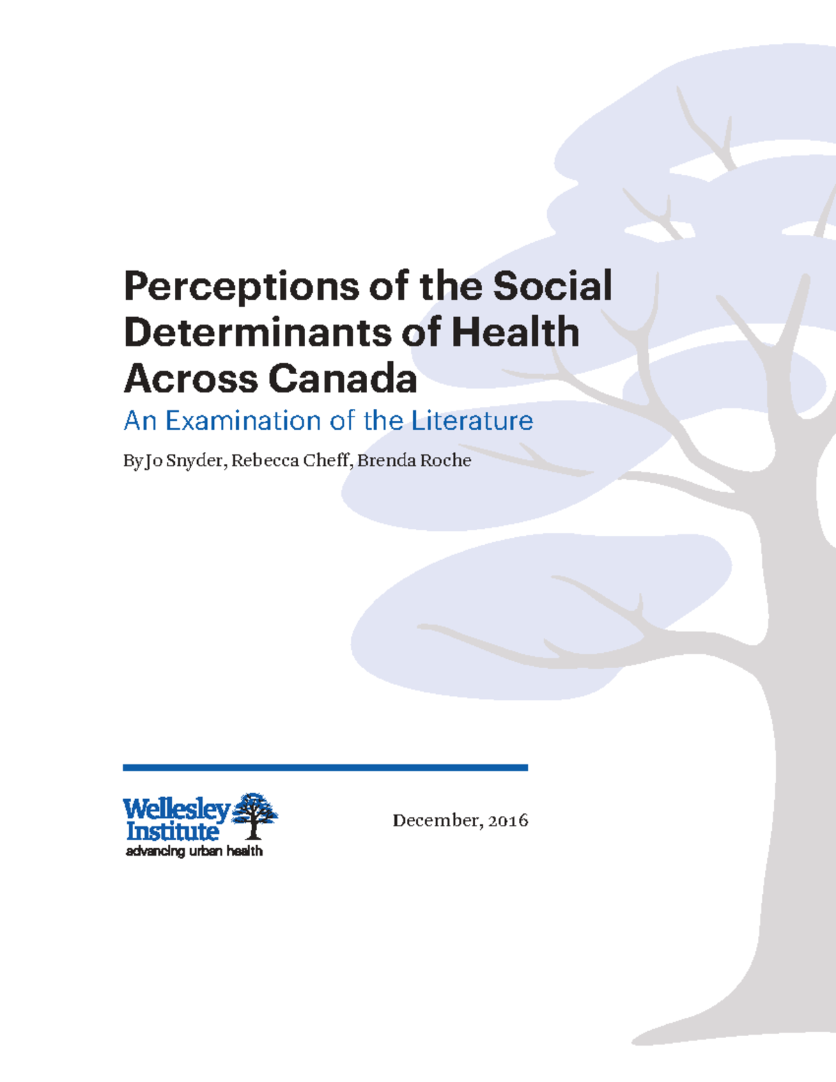 Perceptions of the Social Determinants of Health in Canada: A Review ...