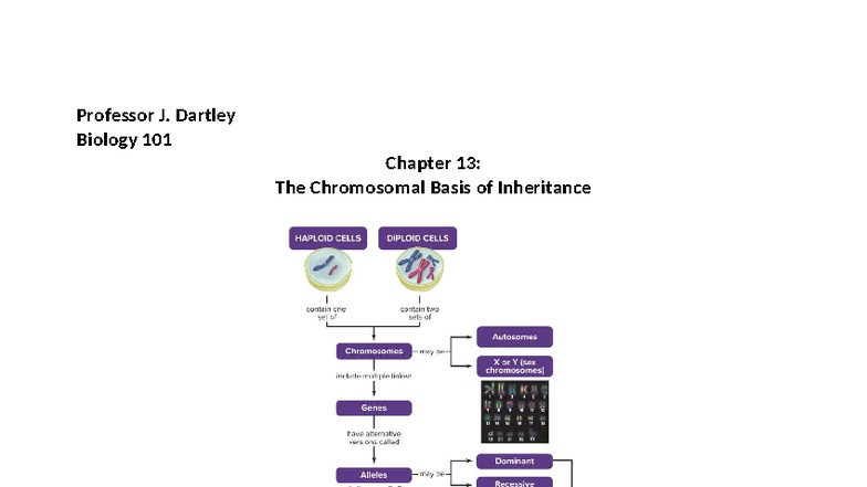 Biology 101 Study Guide: Chapter 13 - Chromosomal Theory of Inheritance ...