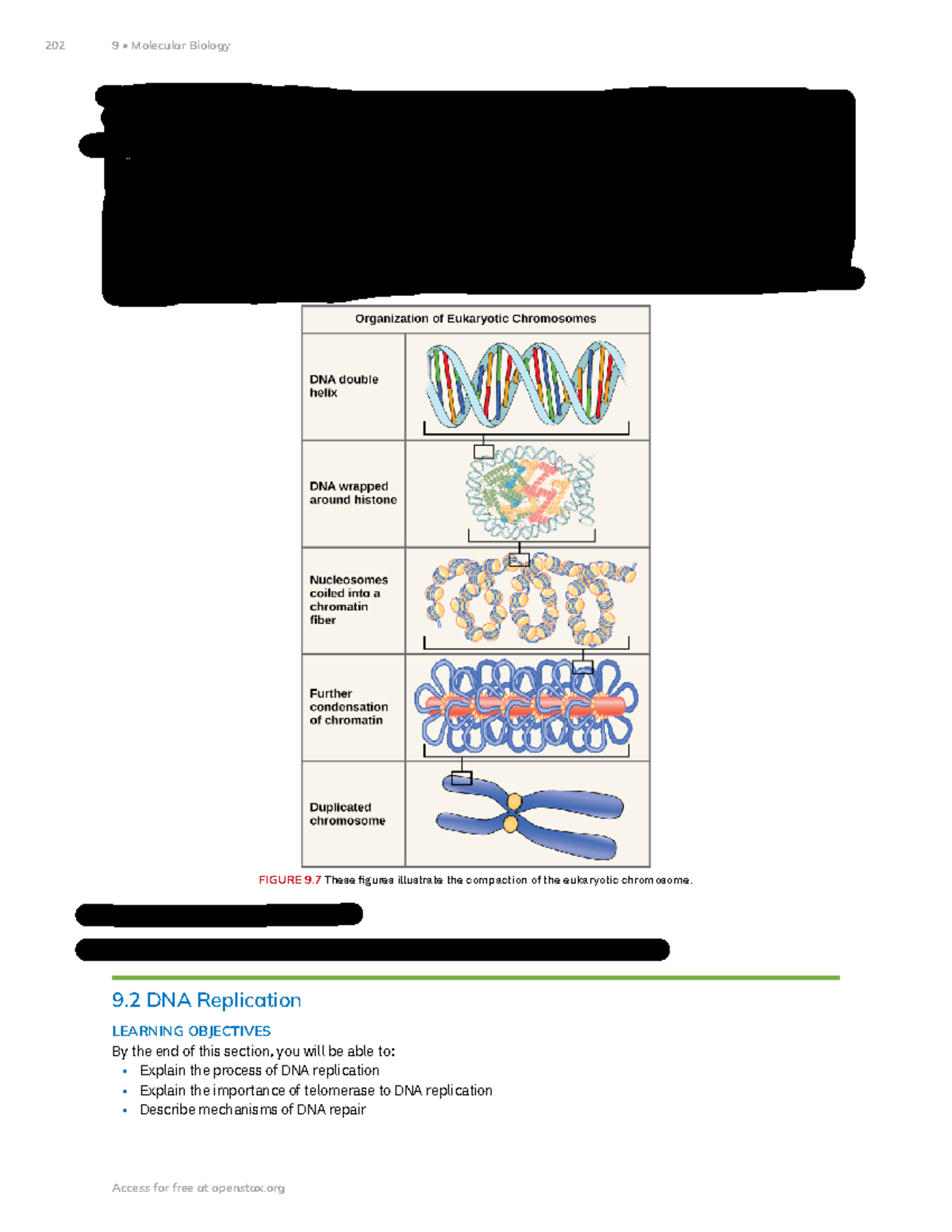 DNA Replication Mechanisms in Eukaryotes and Prokaryotes (Bio 101 ...