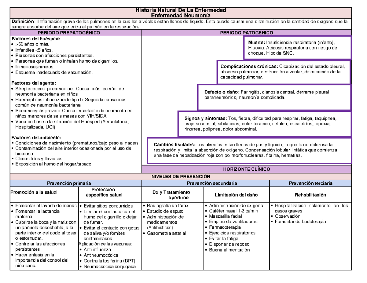 Historia Natural de la Neumonía: Factores y Prevención - Document Preview