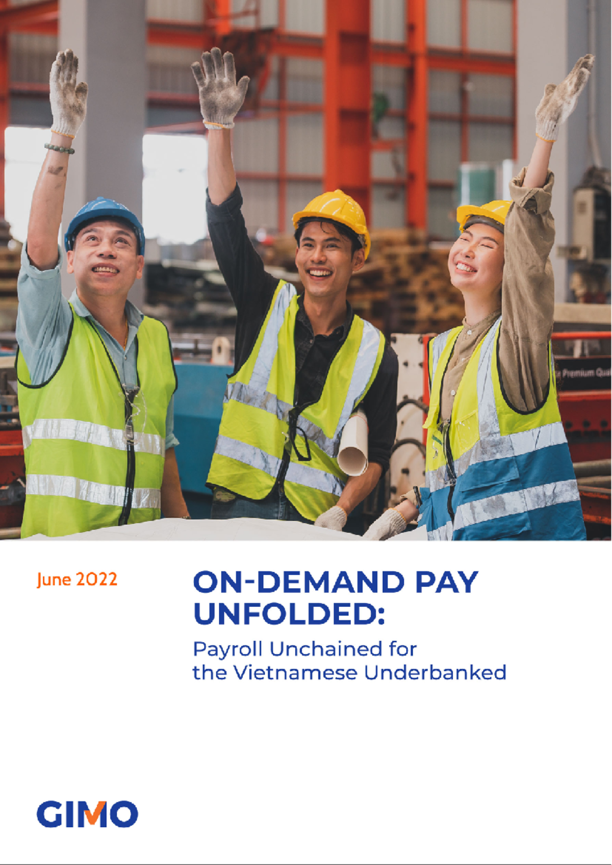 B48fa28f 6e76 4311 9761 d3d2208b1058 - THE VIETNAMESE UNDERBANKED ...