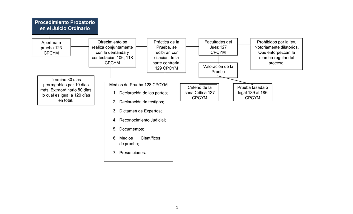 Esquemas para la Prueba en Proceso Civil - CPCYM (Medios y Valoración) - Document Preview
